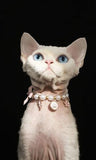 Pet Bow Pearl Collar