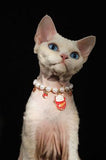 Pet Bow Pearl Collar