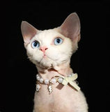 Pet Bow Pearl Collar